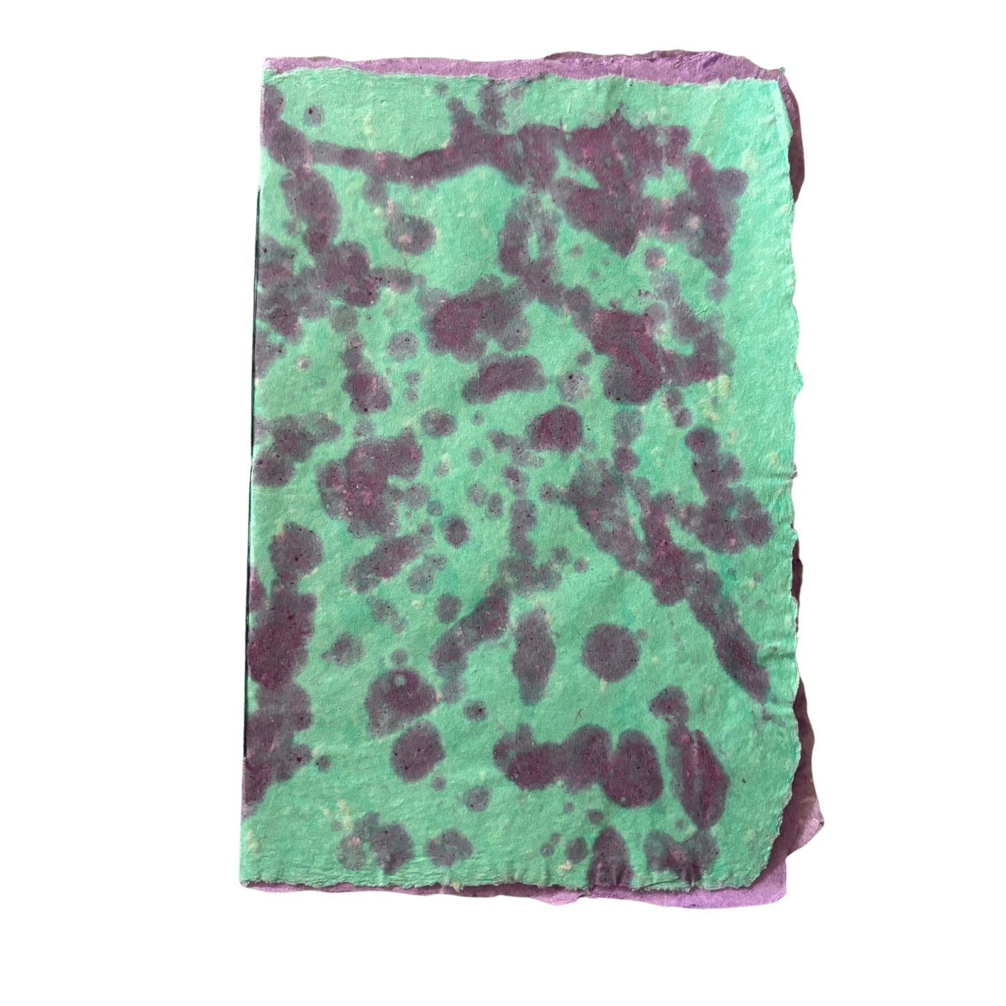 Handmade Paper Booklet - Sully from Monsters Ink