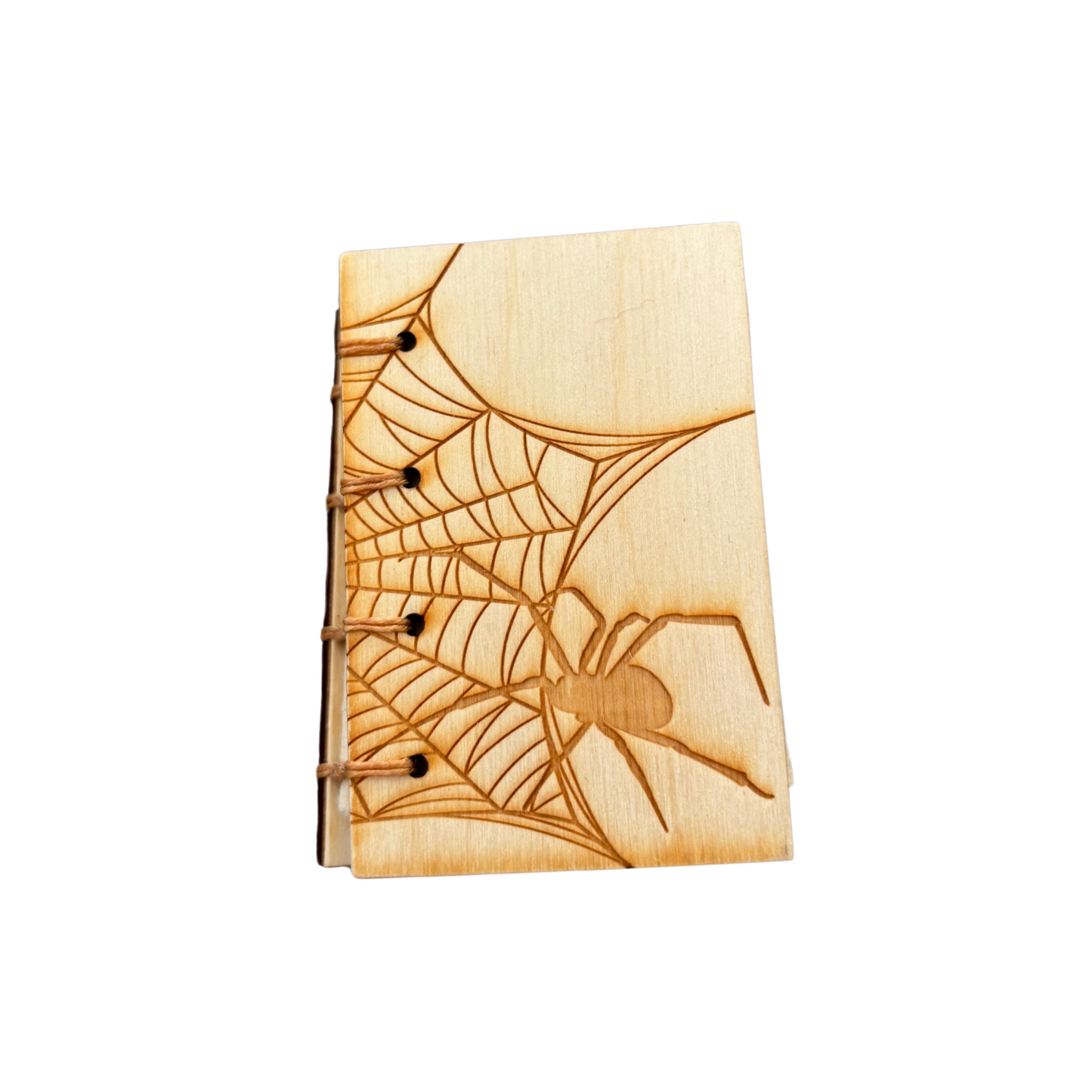 Spider Web Book