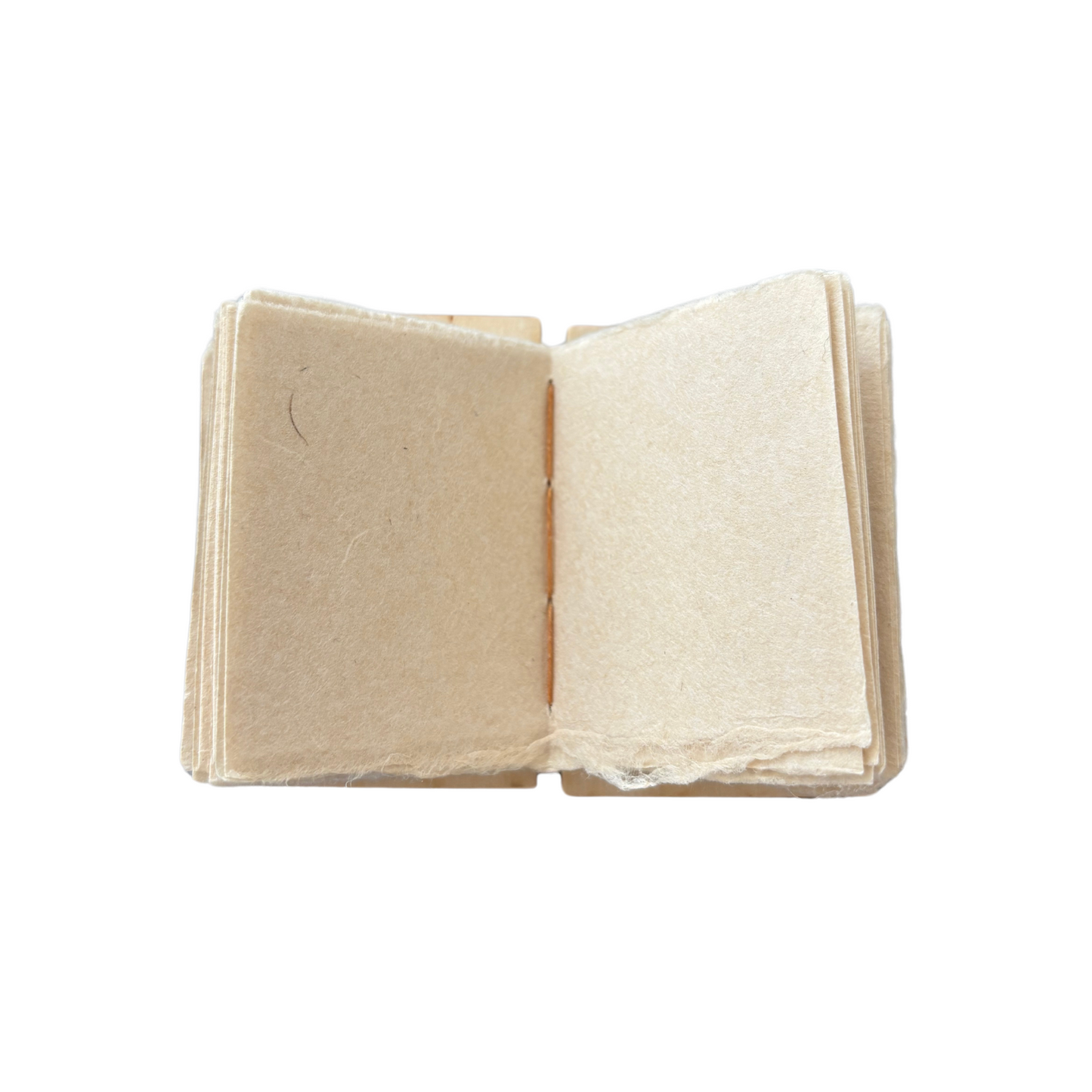 Spider Web Book