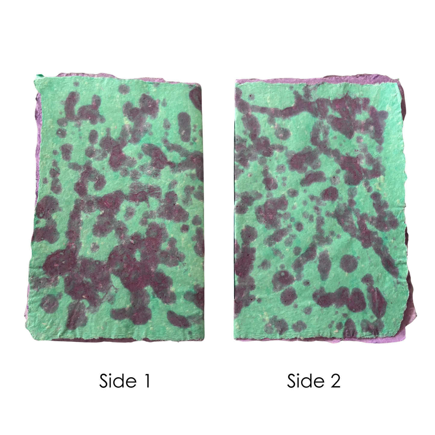 Handmade Paper Booklet - Sully from Monsters Ink