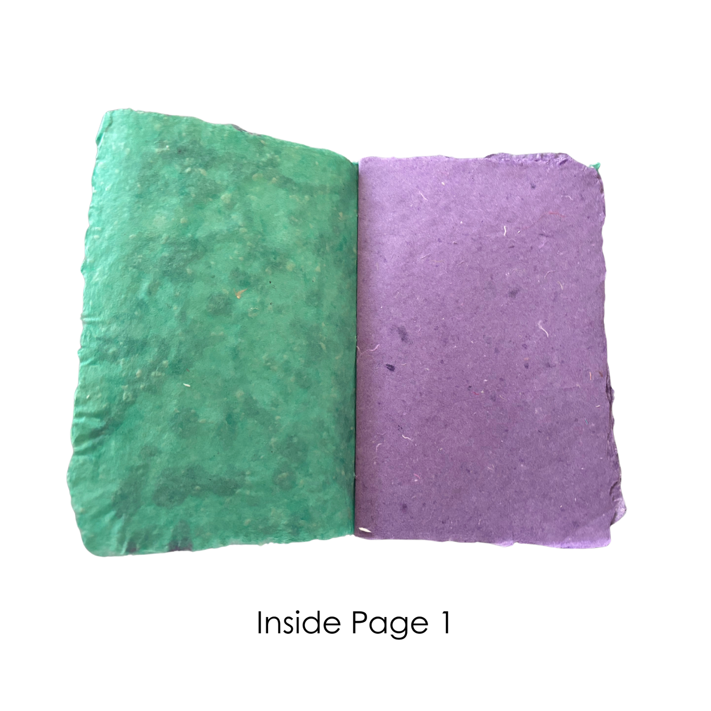 Handmade Paper Booklet - Sully from Monsters Ink