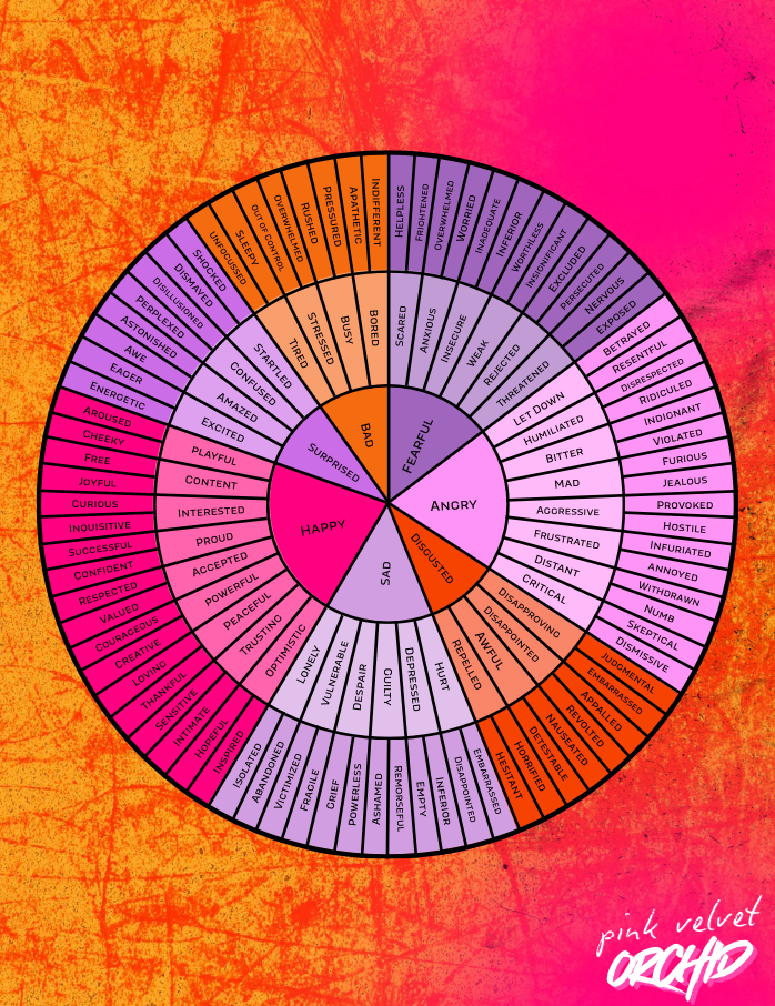 Emotional Regulation Workbook for Divas